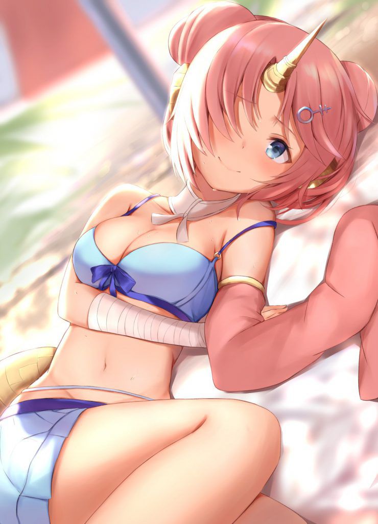 The Erotic &amp; Moe image Summary of Fate Grand order! 12