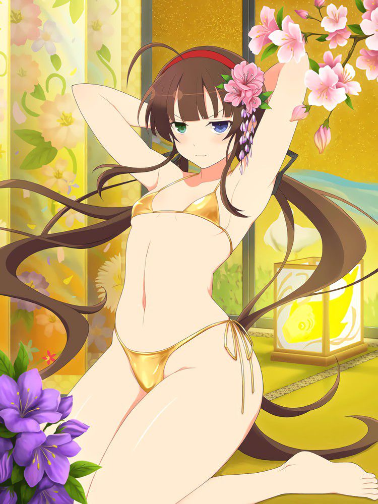 [Large amount of images] Cicolity is the most high erotic body girl wwwwwwwwwwww in Senran Kagura 117