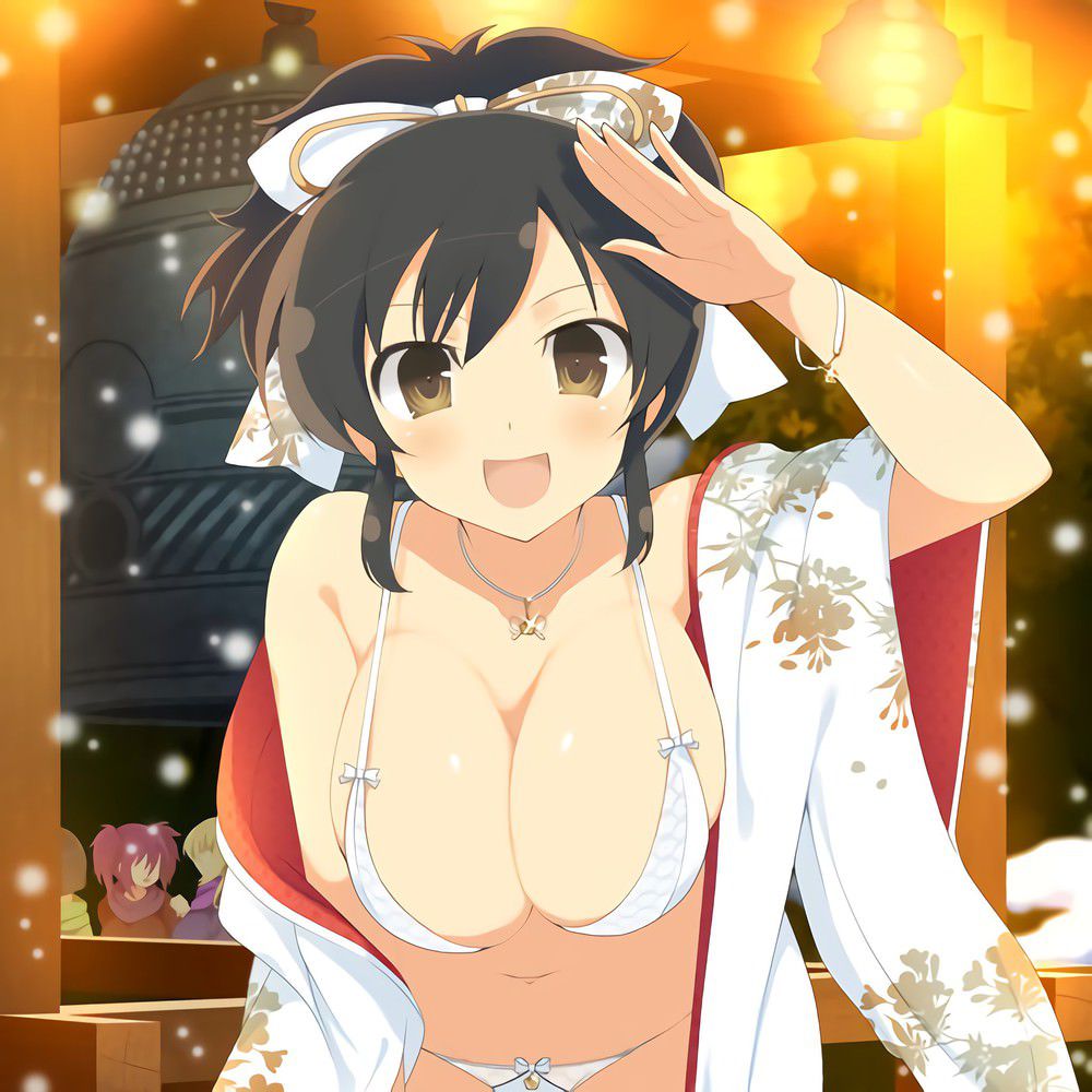 [Large amount of images] Cicolity is the most high erotic body girl wwwwwwwwwwww in Senran Kagura 53