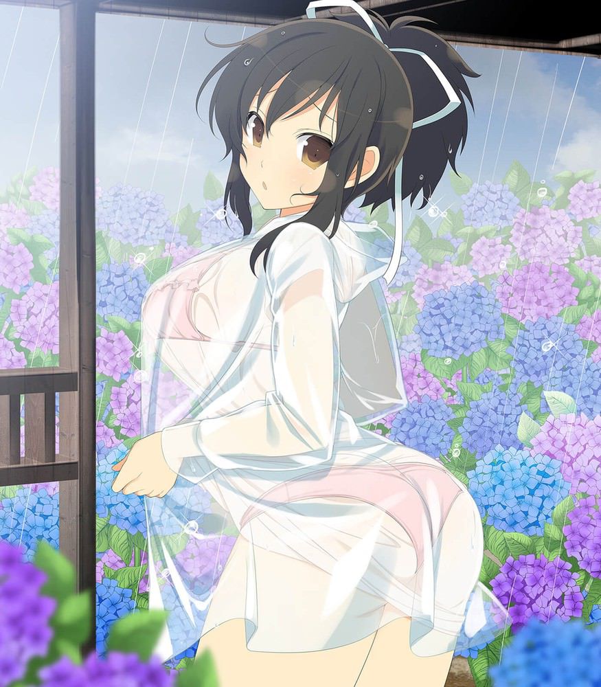 [Large amount of images] Cicolity is the most high erotic body girl wwwwwwwwwwww in Senran Kagura 54