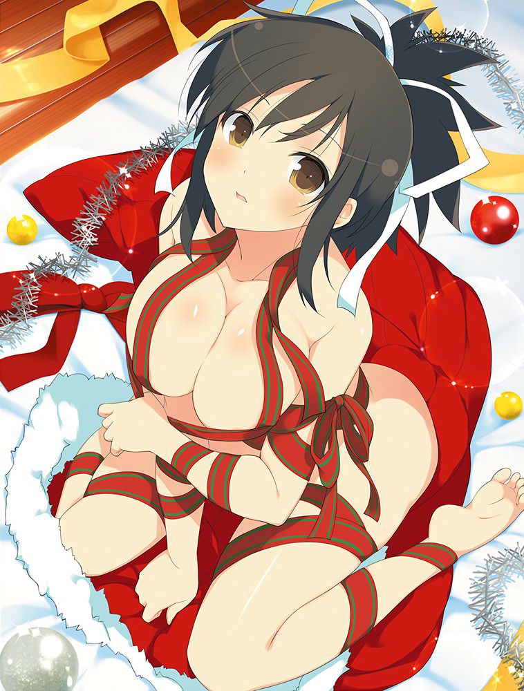 [Large amount of images] Cicolity is the most high erotic body girl wwwwwwwwwwww in Senran Kagura 58