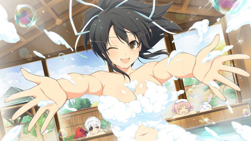 [Large amount of images] Cicolity is the most high erotic body girl wwwwwwwwwwww in Senran Kagura 64