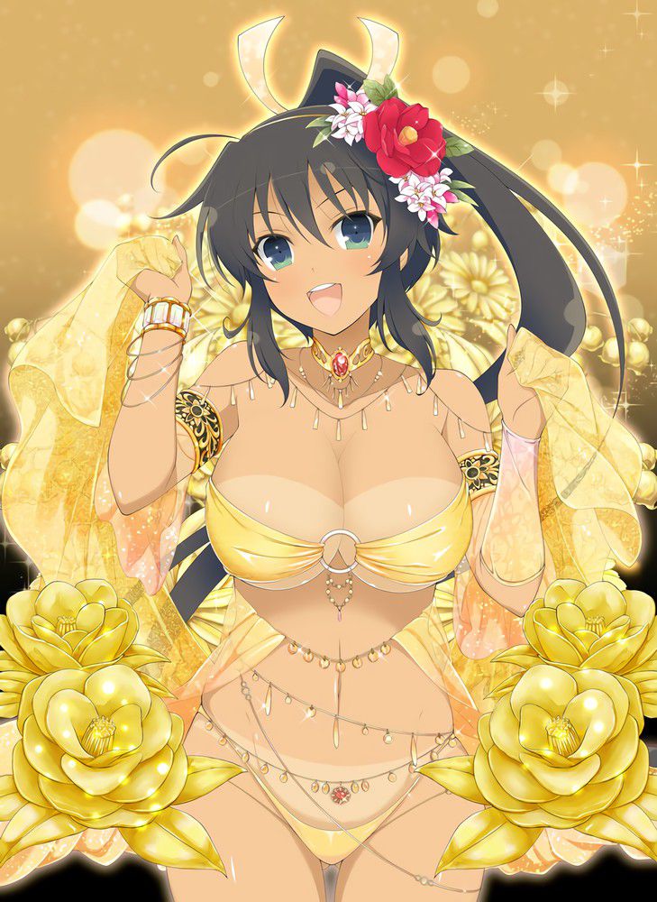 [Large amount of images] Cicolity is the most high erotic body girl wwwwwwwwwwww in Senran Kagura 78