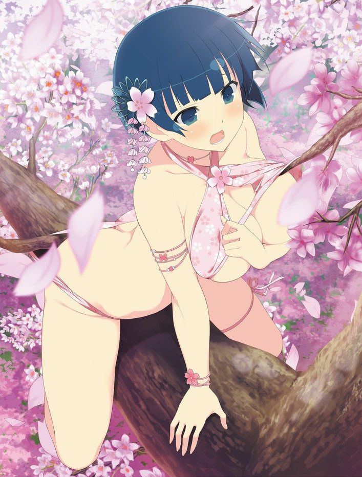 [Large amount of images] Cicolity is the most high erotic body girl wwwwwwwwwwww in Senran Kagura 80