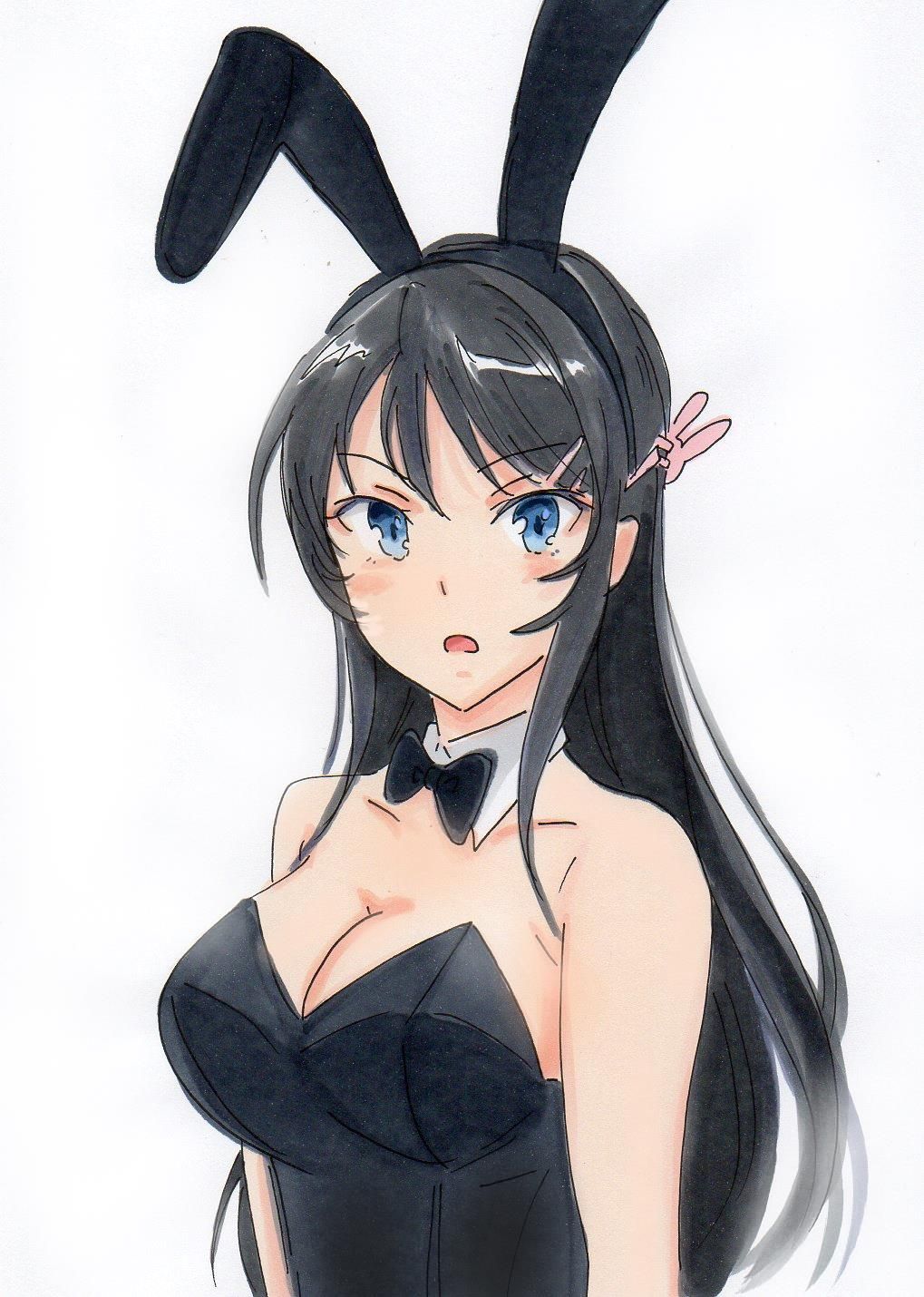 [Secondary/ZIP] Wild bunny girl mai sakurajima cute picture of the seniors "youth Pig does not dream of a senior Bunny girl" 18