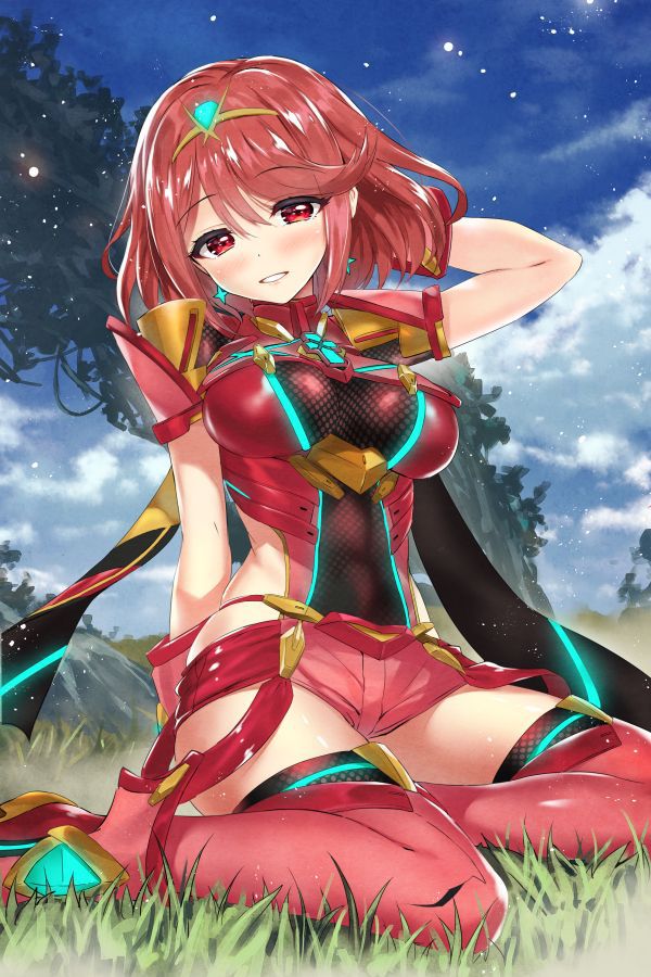 [secondary/ZIP] Homla-chan picture of 100 pieces of Xenoblade 2 56