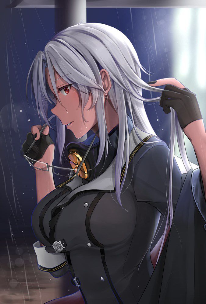 (secondary) gray hair, silver hair [image] Part 34 22