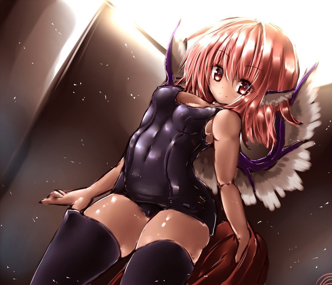 Touhou image various 293 50 pictures 44