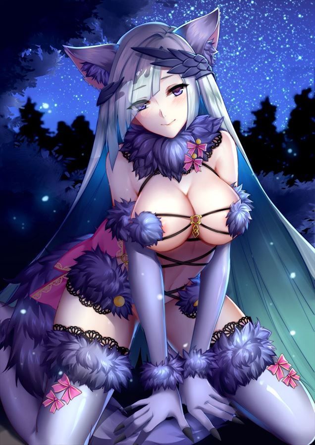 70 Photos of Brunnhilde [Fate (Fgo/Fate Grand Order)] 17