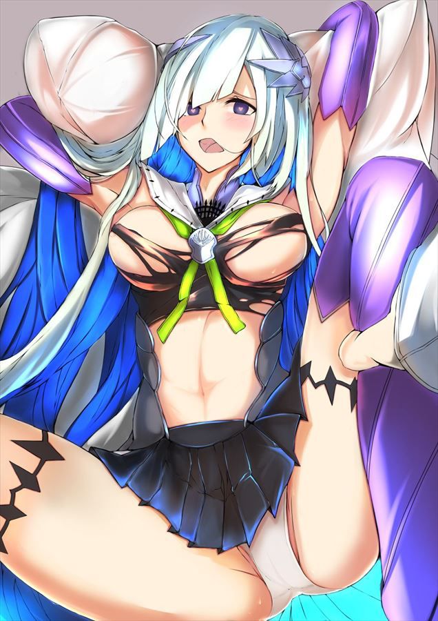 70 Photos of Brunnhilde [Fate (Fgo/Fate Grand Order)] 39