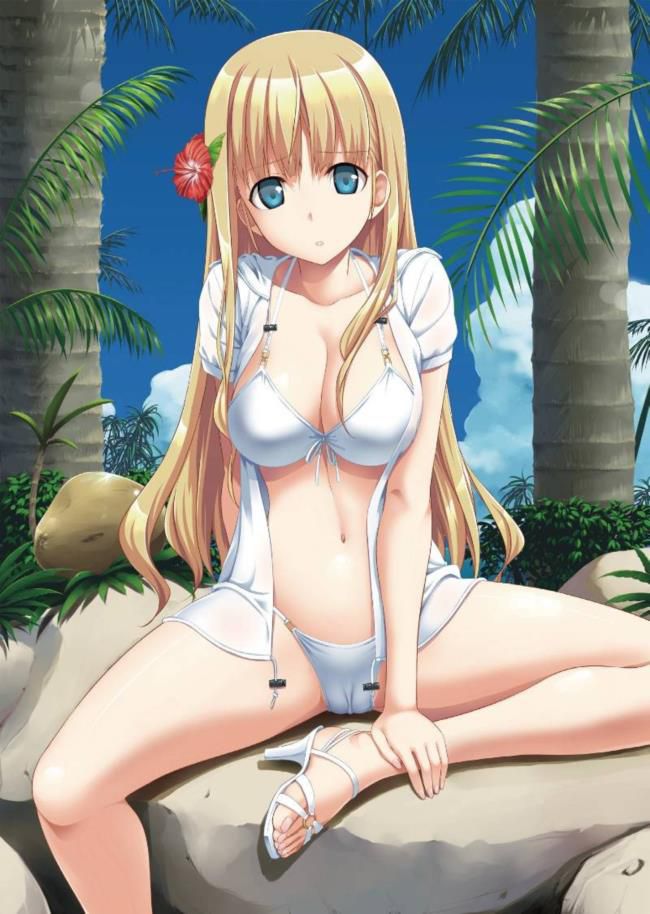 I collected erotic pictures of swimsuit 1