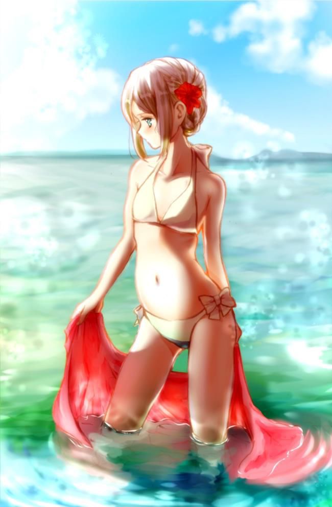 I collected erotic pictures of swimsuit 15
