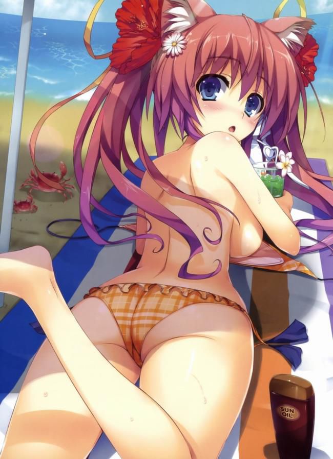 I collected erotic pictures of swimsuit 8