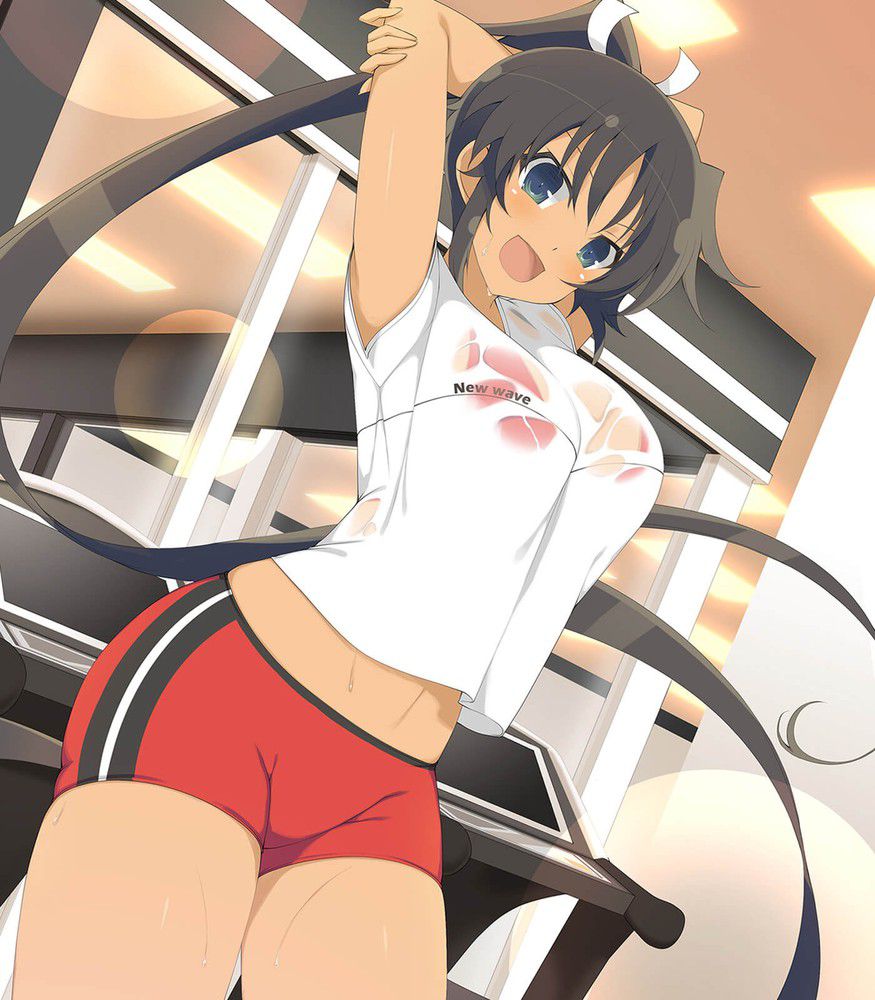 I'm a woman, but I played a game called Senran Kagura, and I burst into tears at the busty faith of the Japan man... 69