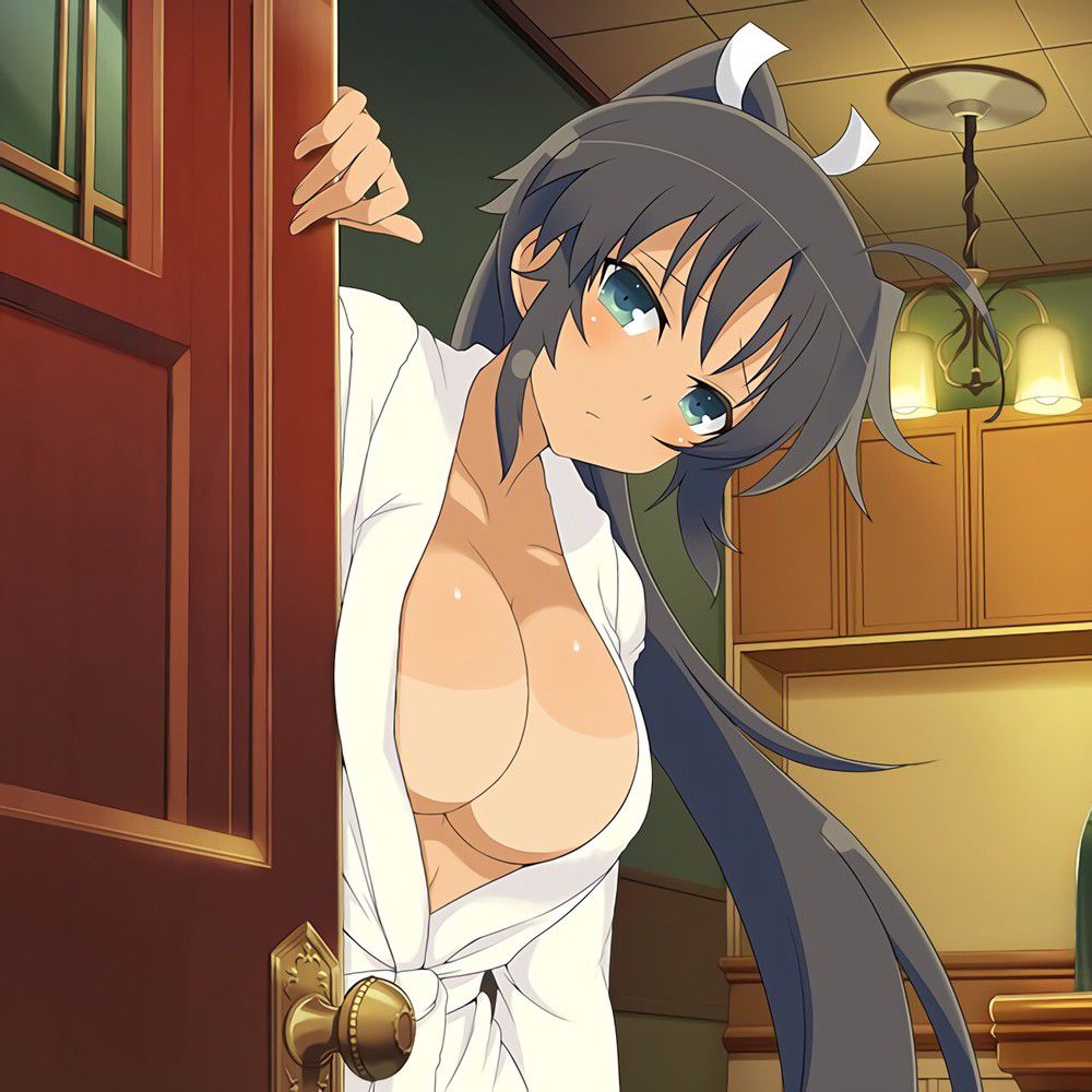 I'm a woman, but I played a game called Senran Kagura, and I burst into tears at the busty faith of the Japan man... 71