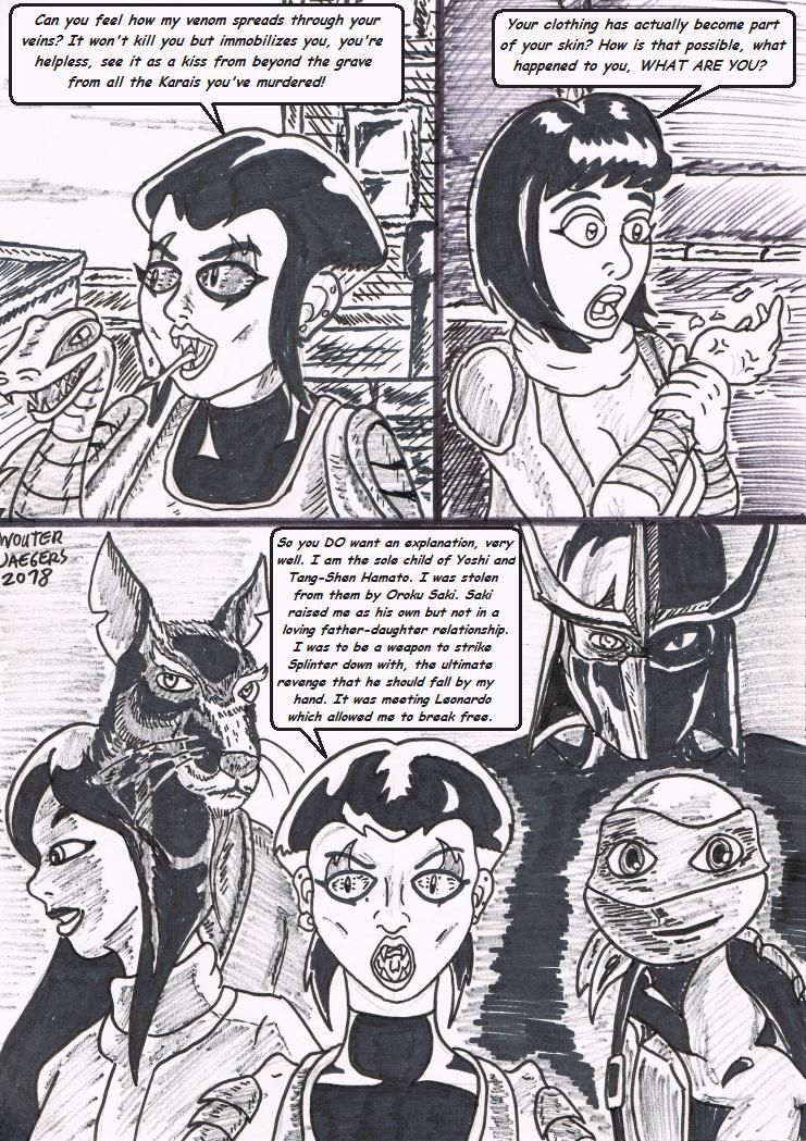 Teenage mutant Ninja Turtles: Karai versus Karai. 14