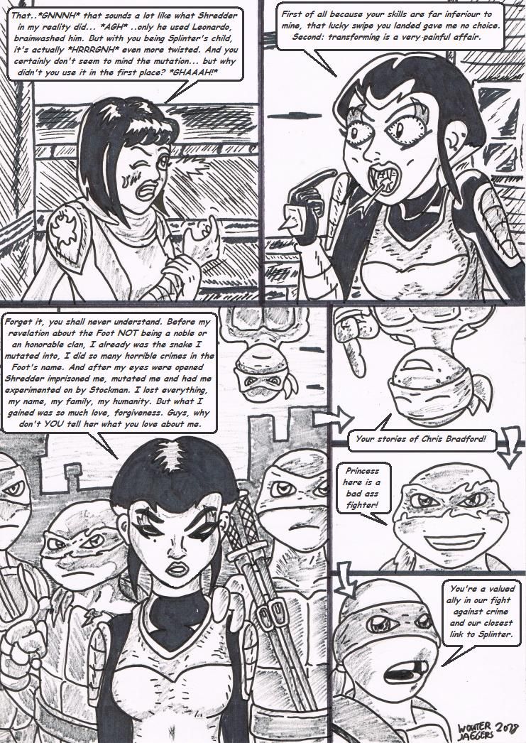 Teenage mutant Ninja Turtles: Karai versus Karai. 15