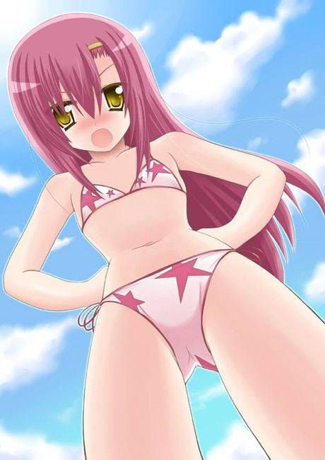 Hayate no Gotoku! You want to be in the picture 15