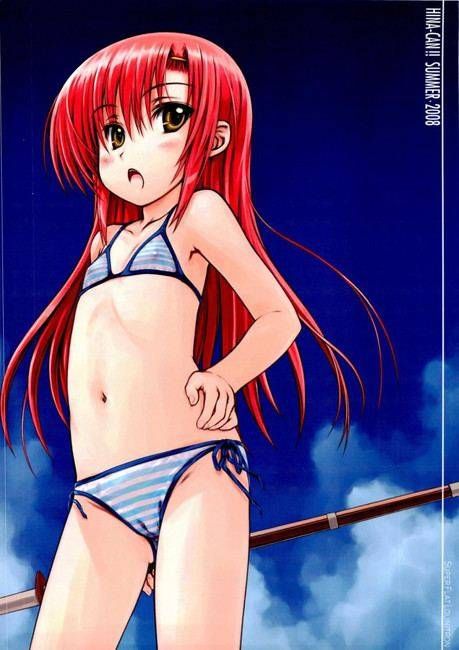 Hayate no Gotoku! You want to be in the picture 7