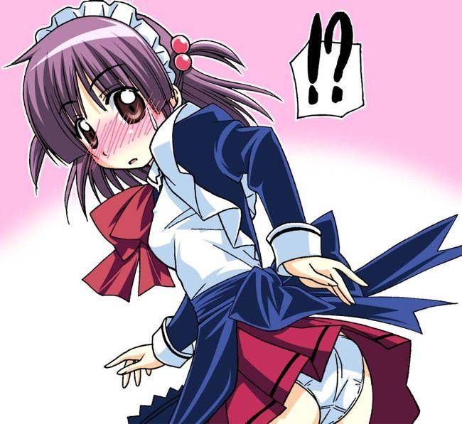 Hayate no Gotoku! You want to be in the picture 8