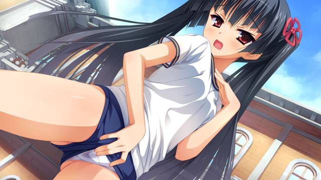 [55 pieces] two-dimensional, bloomers girl erotic images nuke!! 31 [Gymnastics Wear] 24