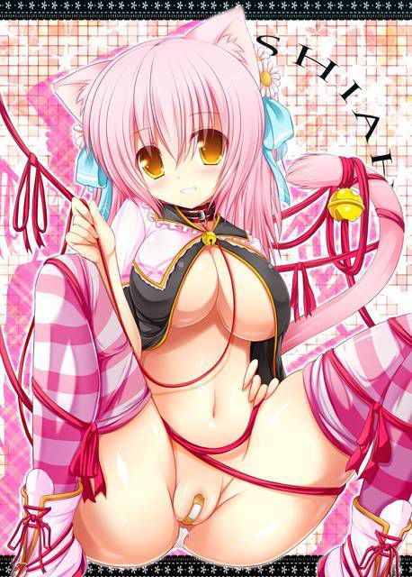 [71 sheets] Two-dimensional, pink-haired girl Erofeci image collection! 1 18