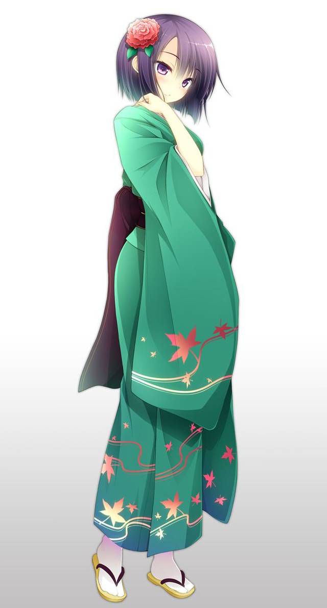 [105 two-dimensional image] Kimono or yukata or obi. 10 70