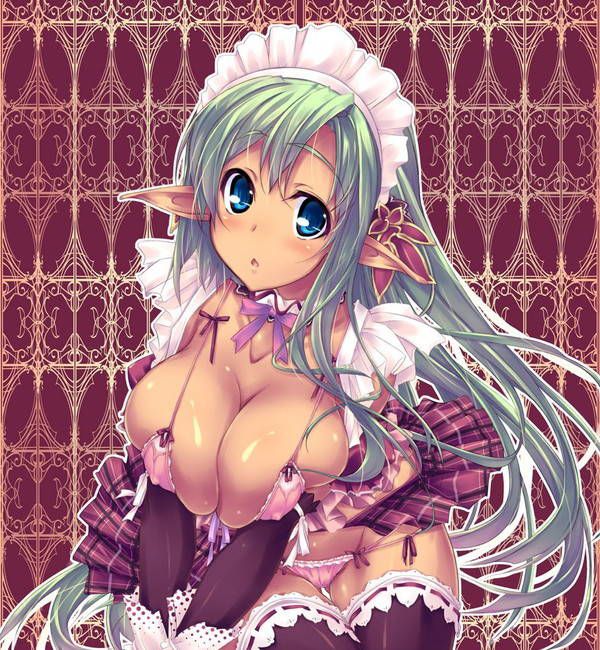 [Two-dimensional 50 sheets] cute maid's erotic image part51 [maid clothes] 15
