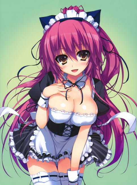 [Two-dimensional 50 sheets] cute maid's erotic image part51 [maid clothes] 20