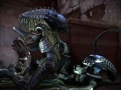 Xenomorph gif and pic 24