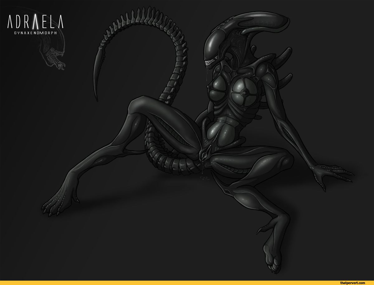 Xenomorph gif and pic 36