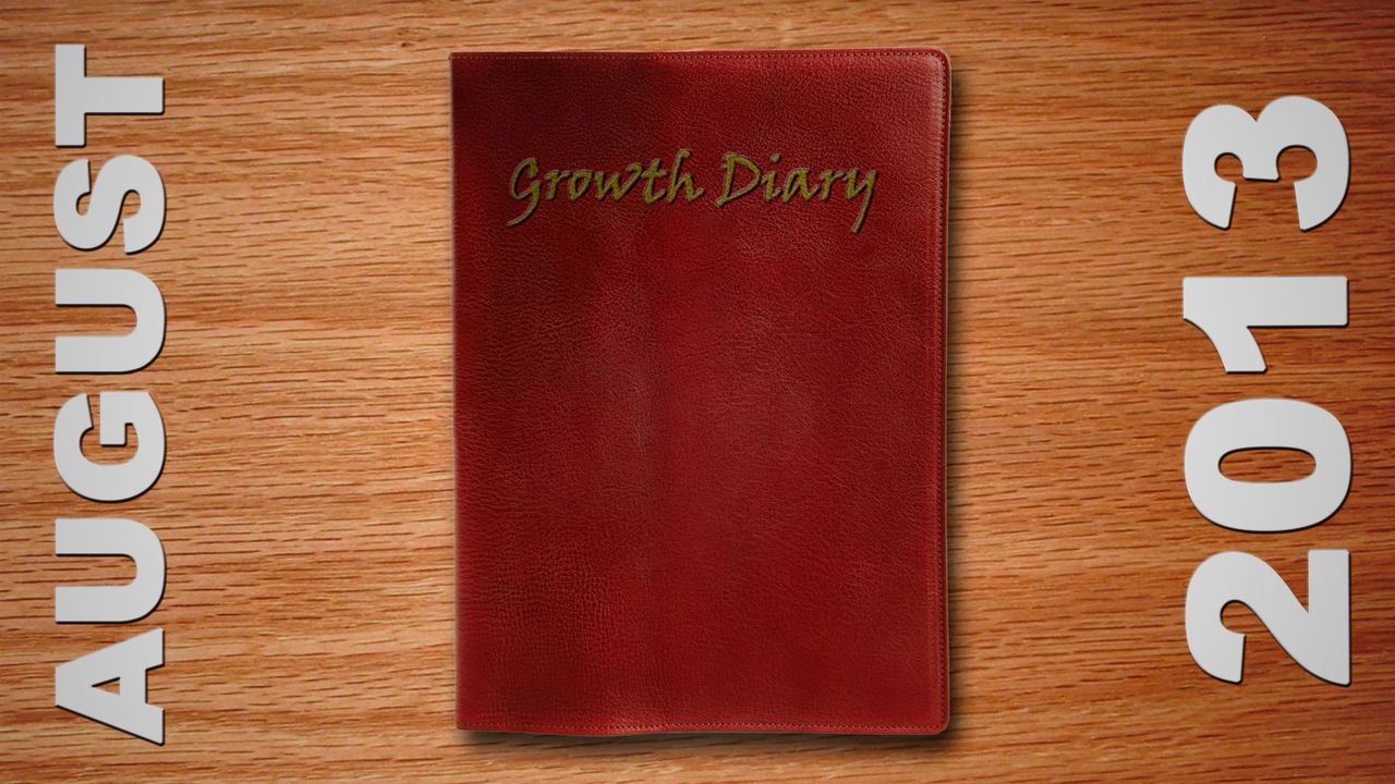 AlexGTS - Growth Diary (Complete) 30