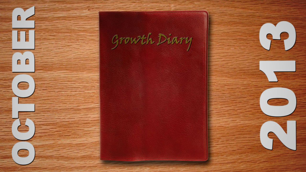 AlexGTS - Growth Diary (Complete) 34