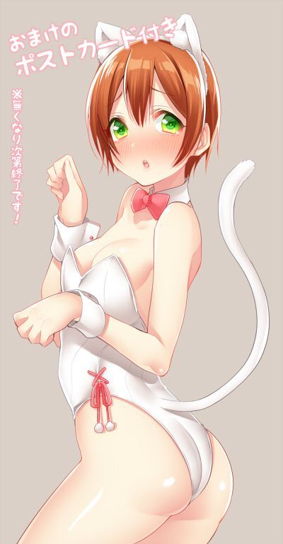 Love Live! Let's be happy to see the erotic images of! 11