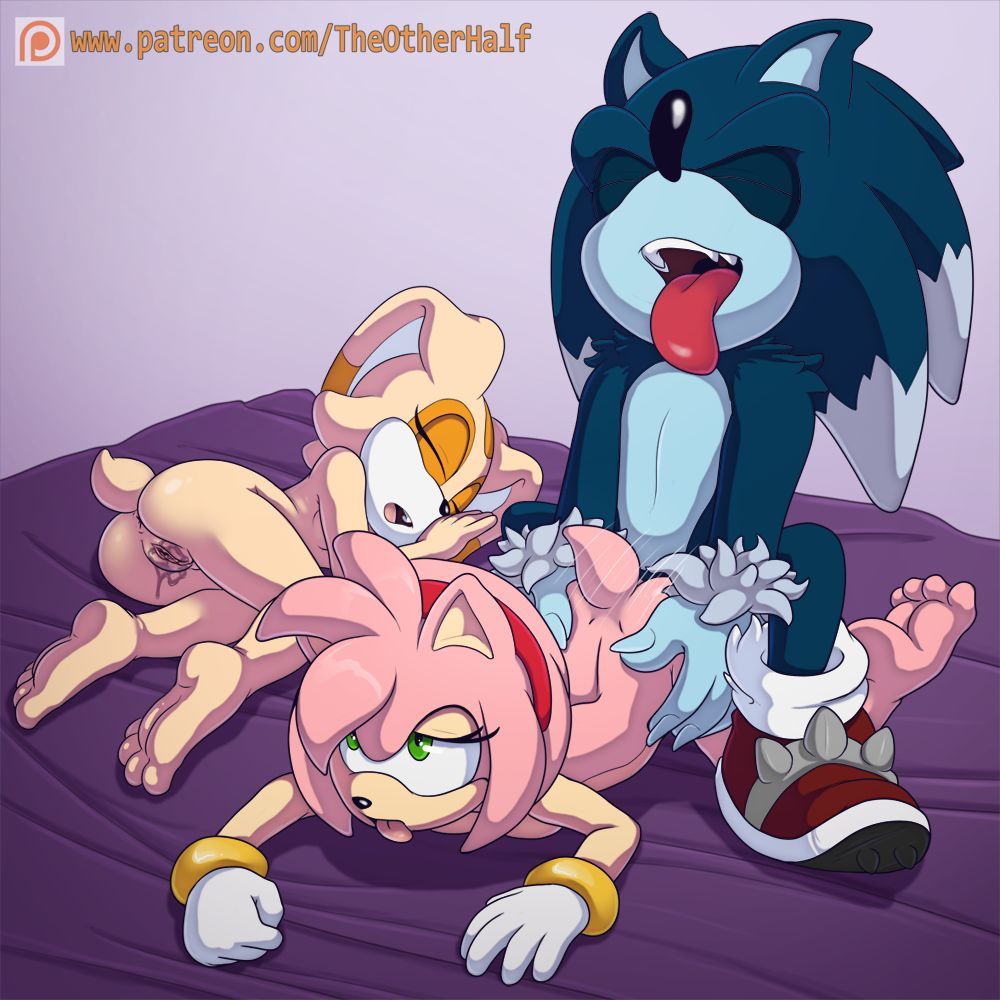 [TheOtherHalf] Werehog Training (Sonic The Hedgehog) 4