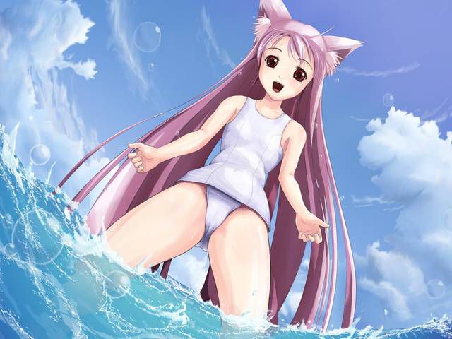 [64 pieces] two-dimensional Erofeci image to admire the white school swimsuit. 2 [White disk] 40