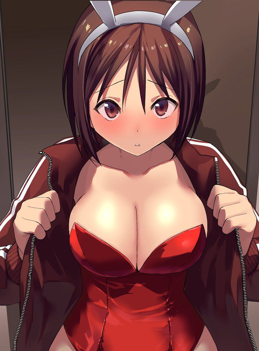 Bunny Girl's secondary image is too much for embarrassed 11
