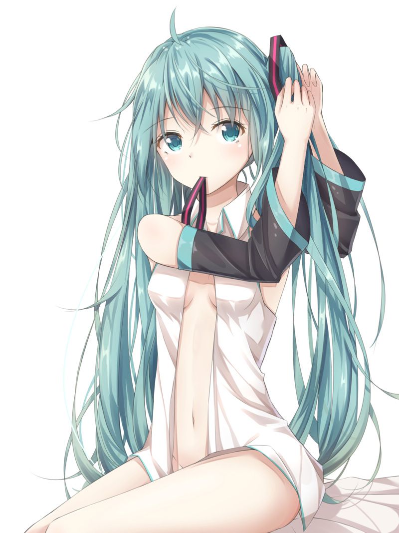 Miku's other, vocaloid's image summary. Vol. 3 21