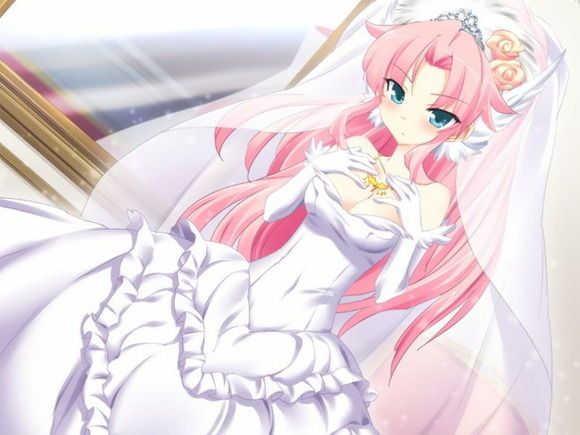 It is an erotic picture of the wedding dress! 3