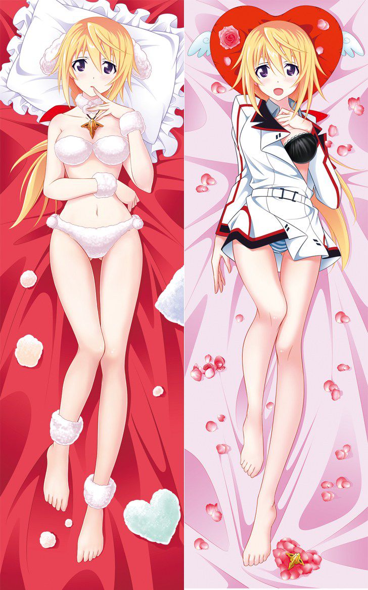 [Dakimakura] Image of erotic two-dimensional pillow cover Anime game system part 26 6