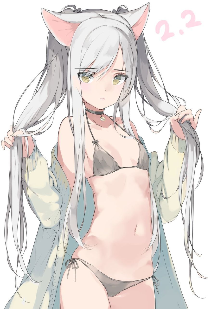 [2nd edition] Beautiful silver hair girl secondary erotic image Part 11 [Silver hair] 11