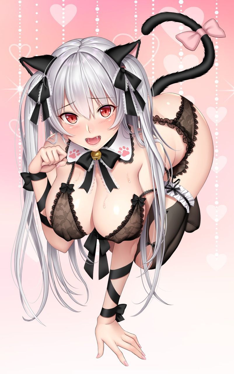 [2nd edition] Beautiful silver hair girl secondary erotic image Part 11 [Silver hair] 15