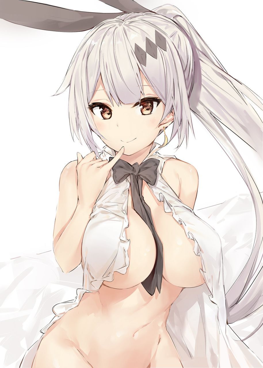 [2nd edition] Beautiful silver hair girl secondary erotic image Part 11 [Silver hair] 23