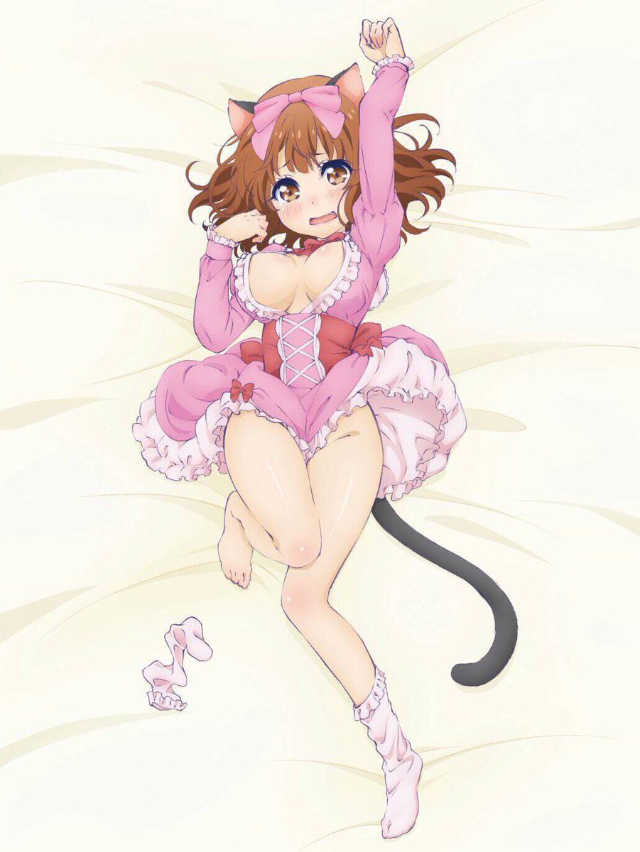 [Dakimakura] Image of erotic two-dimensional pillow cover of anime game system part 32 20