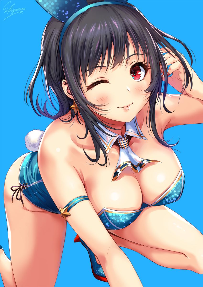 【Erotic Anime Summary】 Valley erotic images of busty beauties 【50 photos】 17