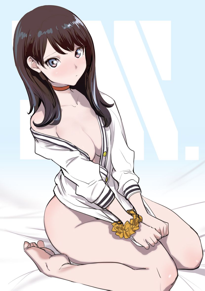 【Erotic Anime Summary】 Valley erotic images of busty beauties 【50 photos】 19