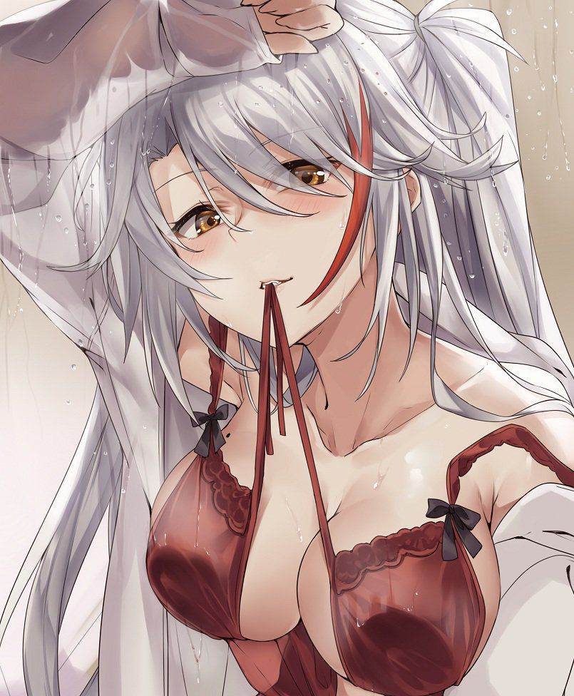 【Erotic Anime Summary】 Valley erotic images of busty beauties 【50 photos】 34