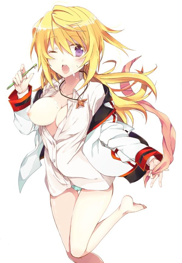 [Infinite Stratos] Charlotte Dunois Photo Gallery Part2 1