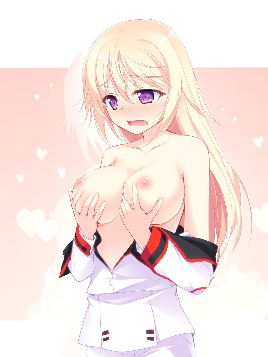 [Infinite Stratos] Charlotte Dunois Photo Gallery Part2 2