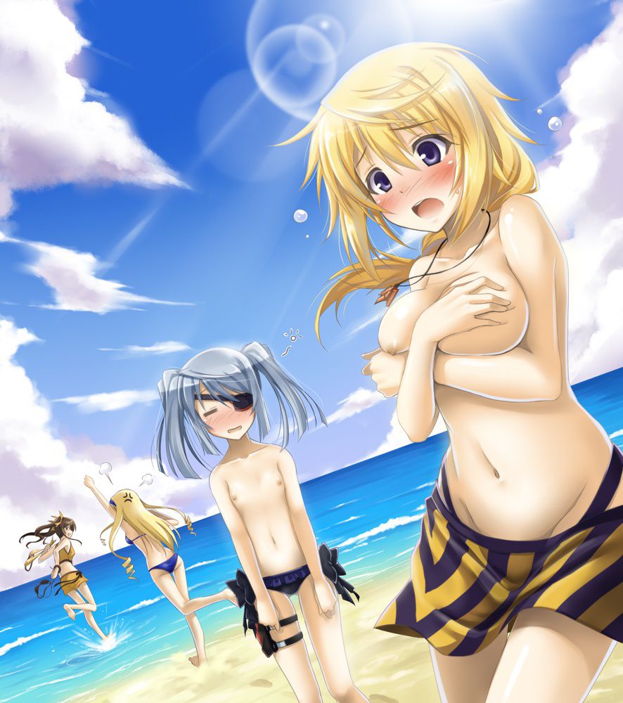 [Infinite Stratos] Charlotte Dunois Photo Gallery Part2 4